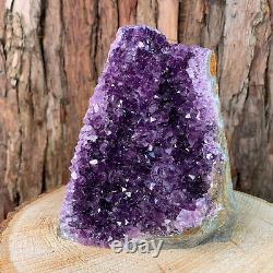 16cm 1.9kg Raw Purple Amethyst Quartz Crystal Cluster Cathedral from Uruguay