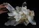 16lb New Find Clear Natural White Quartz Crystal Cluster Original Specimen