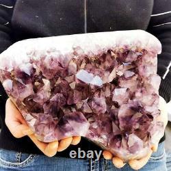 17.82LB Natural Amethyst Geode Quartz Crystal cluster Mineral specimen Healing