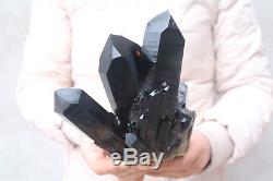 1700g Natural Beautiful Black Quartz Crystal Cluster Tibetan Specimen #501