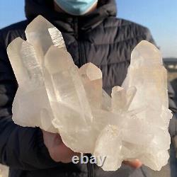 1700g Natural Transparent White Quartz Crystal Cluster Specimen Healing
