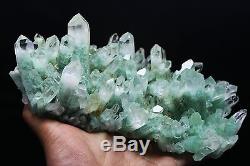 1720g AAA Clear Natural Green Ghost pyramid QUARTZ Crystal Cluster Specimen