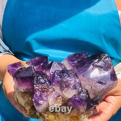 1730g Natural Bolivia Amethyst Mineral Specimen Crystal Energy Healing DH717