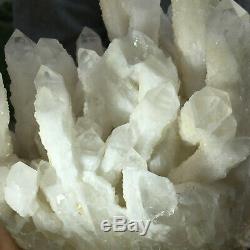 1736g Large Natural Clear White Quartz Crystal Cluster Rough Healing Specimen