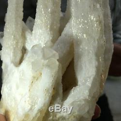 1736g Large Natural Clear White Quartz Crystal Cluster Rough Healing Specimen