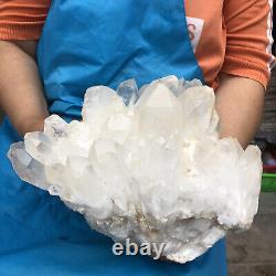 17LB Clear Natural Beautiful White QUARTZ Crystal Cluster Specimen