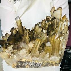 18.1LB Natural Smokey Citrine Quartz Crystal Cluster Mineral Healing M448