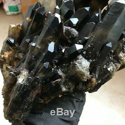18.5LB Natural smokey quartz cluster crystal specimen healing