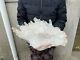 18.8lbs Huge Natural Clear Quartz Crystal Cluster Specimen Wand Point Healing
