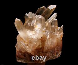 18.8lb Natural Clear Smoky Quartz Crystal Cluster Point Healing Mineral