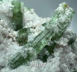 186 gr. Full & Well Terminated Tourmaline Crystals bunch on Matrix @AFG