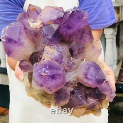 18LB Uruguay Natural Amethyst Quartz Crystal Cluster Mineral Healing A854