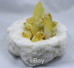 1908g New Find Yellow Phantom Quartz Crystal Cluster Mineral Specimen