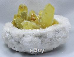 1908g New Find Yellow Phantom Quartz Crystal Cluster Mineral Specimen