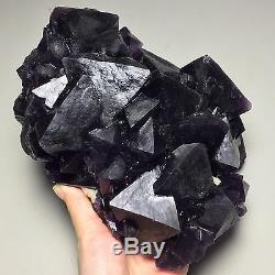 1930gMuseum Quality-Natural Rare Purple/Blue Octahedral Fluorite Crystal Cluster