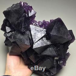 1930gMuseum Quality-Natural Rare Purple/Blue Octahedral Fluorite Crystal Cluster