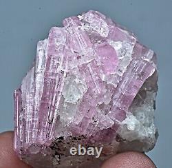 194 Carat Awesome Pink Tourmaline Crystal Cluster On Quartz Matrix