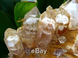 1945g RARE NATURAL White phantom quartz crystal cluster Point Specimens