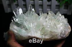1966gNew! 100% Natural Rare Bright Green Pyramid Phantom Crystal Cluster Specimen