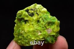 19g Natural Green Autunite Crystal Cluster Rare Display Mineral Specimen China