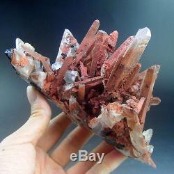 1LBS Rare Red Quartz Crystal Cluster with Hematite, China-q1039