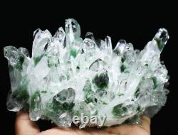 2.09lb Clear Green Phantom Quartz Point Crystal Cluster Healing Mineral Specimen