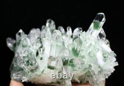 2.09lb Clear Green Phantom Quartz Point Crystal Cluster Healing Mineral Specimen