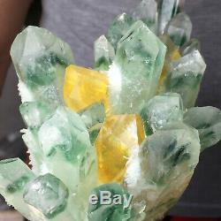 2.0lb Huge Clear Green Phantom Quartz Crystal Cluster Healing Mineral Specimen