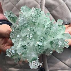 2.0lb Huge Green Phantom Quartz Crystal Cluster Healing Mineral Specimen 31020