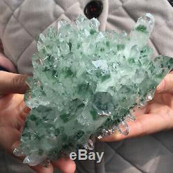 2.0lb Huge Green Phantom Quartz Crystal Cluster Healing Mineral Specimen 31020