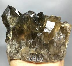 2.13lb New Find NATURAL Clear Golden RUTILATED QUARTZ Crystal Cluster Specimen