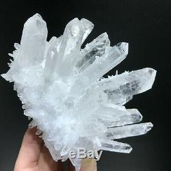 2.15LB New Find Clear White Quartz Crystal Cluster Vug Mineral Specimen Healing