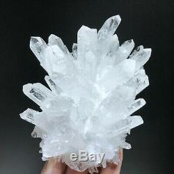 2.15LB New Find Clear White Quartz Crystal Cluster Vug Mineral Specimen Healing