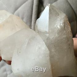 2.1lb Large Natural Clear White Quartz Crystal Cluster Rough Specimen Healing