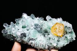 2.1lb New Find Green / Yellow Phantom Quartz Crystal Cluster Mineral Specimen