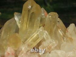 2.2 LB Natural 6 Clear Quartz Crystal Cluster Mineral Specimen Healing