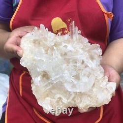 2.22LB Natural White Clear Quartz Crystal Cluster Rough Healing Specimen