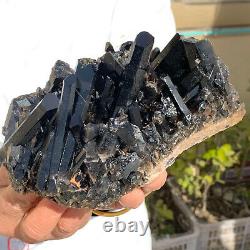 2.23LB Natural Beautiful Black Quartz Crystal Cluster Mineral Specimen Rare