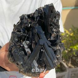 2.23LB Natural Beautiful Black Quartz Crystal Cluster Mineral Specimen Rare