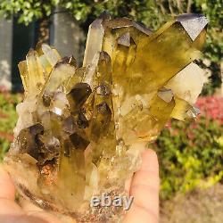 2.24LB Natural citrine Crystal quartz Cluster Mineral Specimen Healingmk