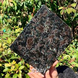 2.24LBTreatment of Natural and Beautiful Fireworks Stone Crystal Rough Specimens