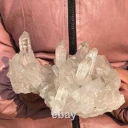 2.33LB Natural White Clear Quartz Crystal Cluster Rough Healing Specimen