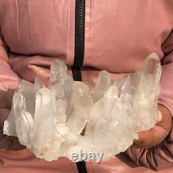 2.33LB Natural White Clear Quartz Crystal Cluster Rough Healing Specimen