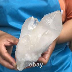 2.35LB Clear Natural Beautiful White QUARTZ Crystal Cluster Specimen