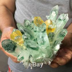 2.3lb Huge Clear Green Phantom Quartz Crystal Cluster Healing Mineral Specimen