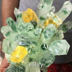 2.3lb Huge Clear Green Phantom Quartz Crystal Cluster Healing Mineral Specimen