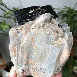 2.3lb Natural Raw Black Tourmaline Quartz Crystal Cluster Rough Mineral Specimen