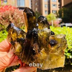 2.42LB Natural brown Citrine Quartz Cluster Crystal mineral specimen healing