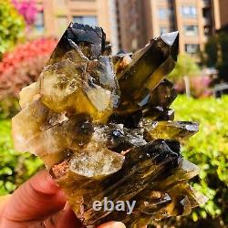 2.42LB Natural brown Citrine Quartz Cluster Crystal mineral specimen healing