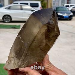 2.43LB Natural Citrine backbone cluster mineral specimen quartz crystal healing